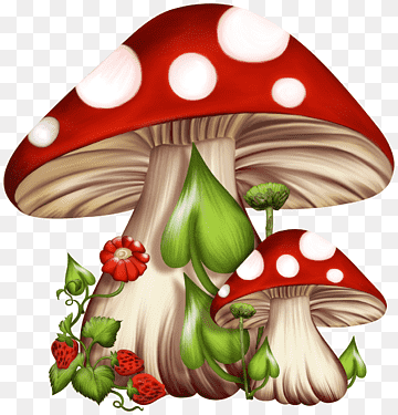 Truffle mushrooms